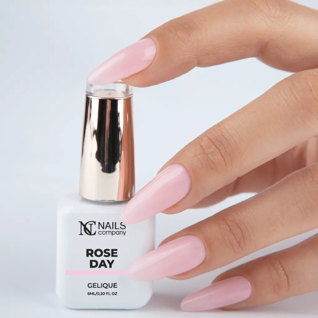 Rose Day.webp
