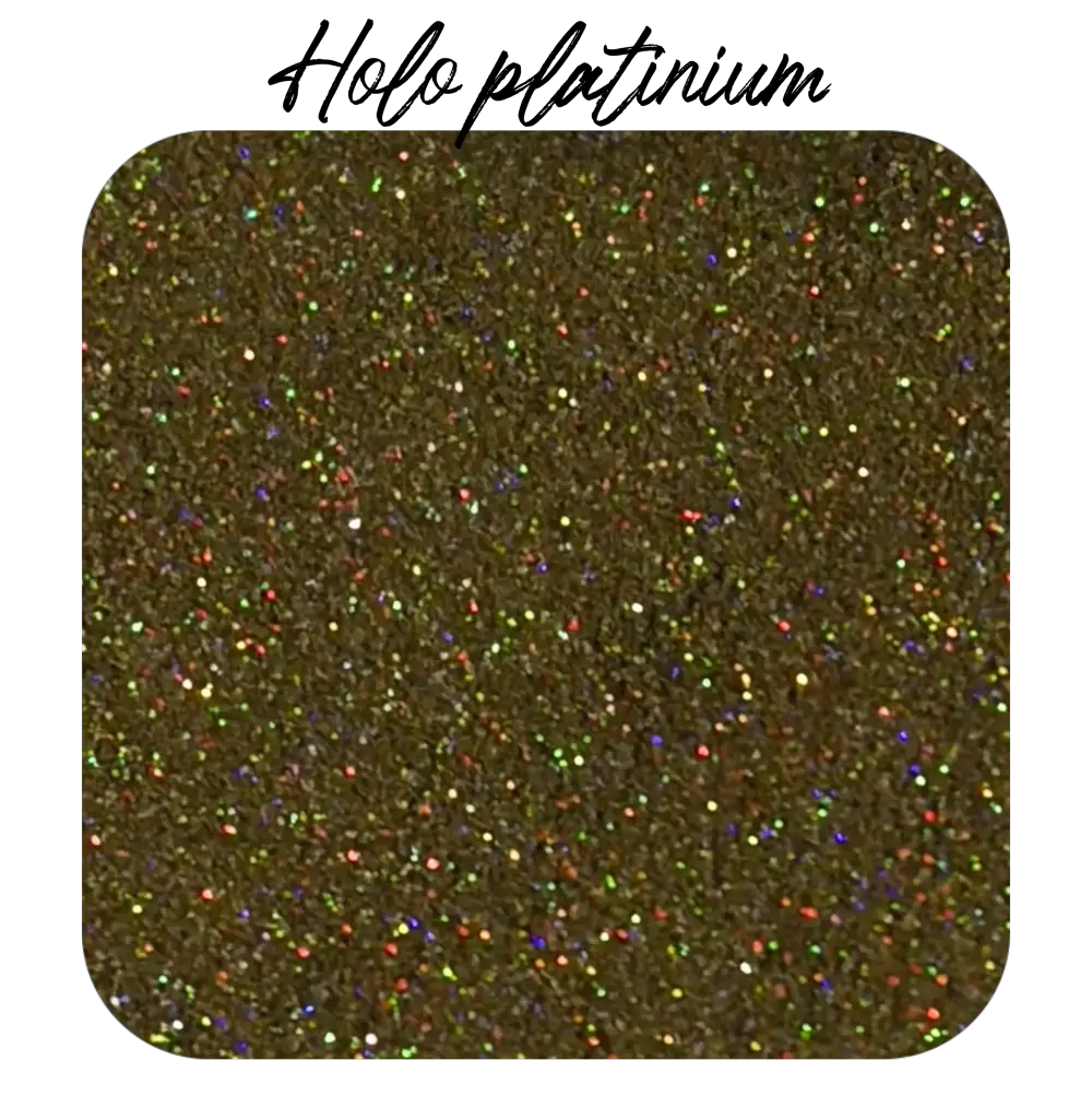 Poudre Holo Platinium