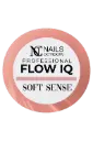 Gel Flow IQ - Soft sense