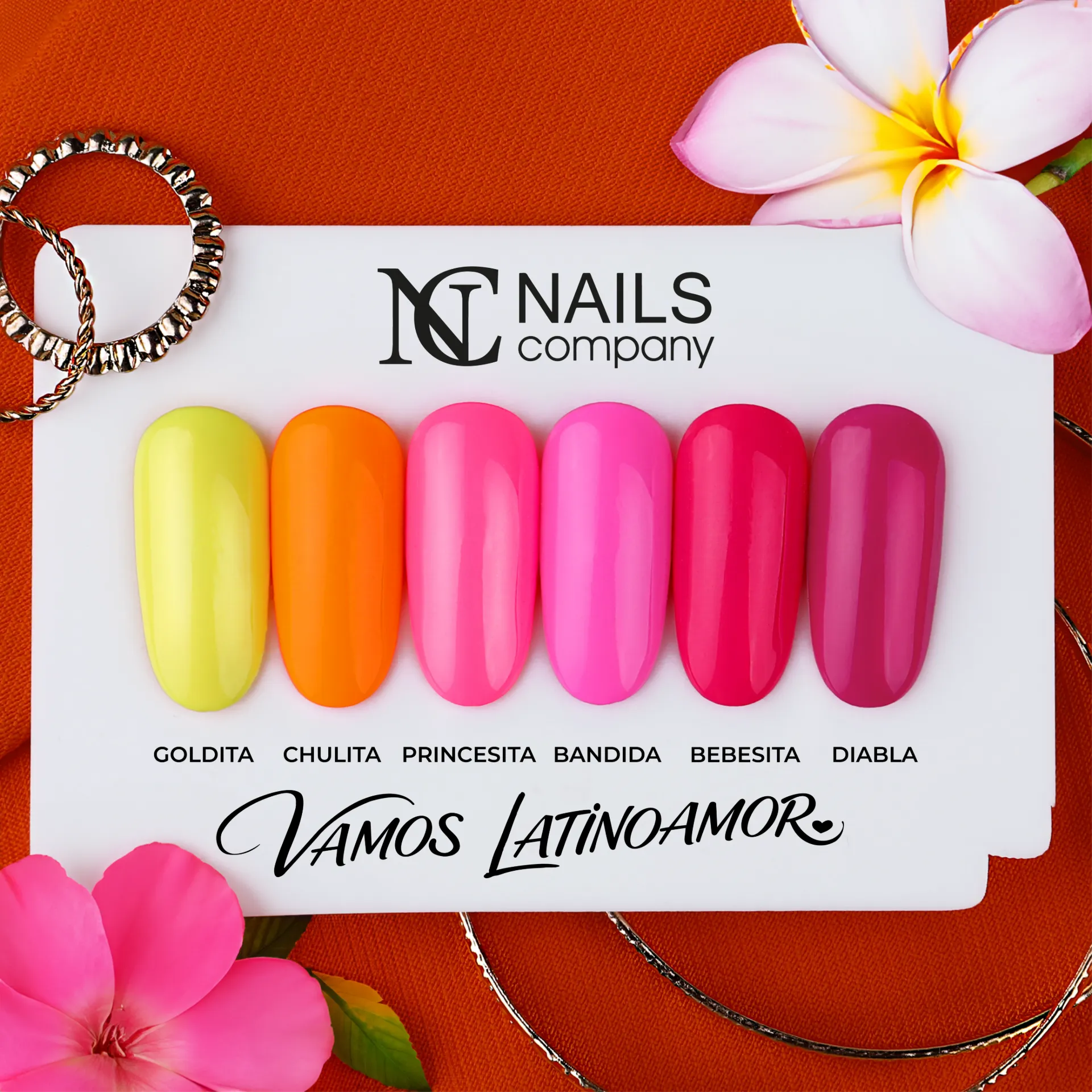 Coffret Vamos LatinoAmor