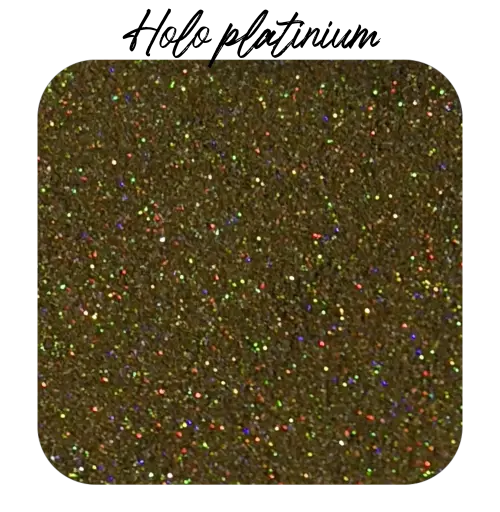Poudre Holo Platinium