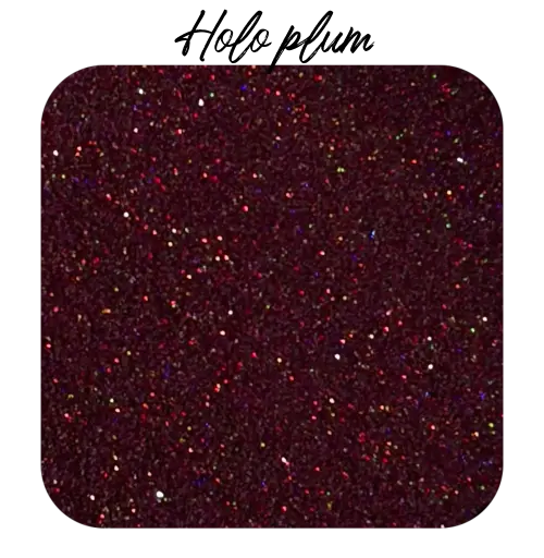 Poudre Holo Plum