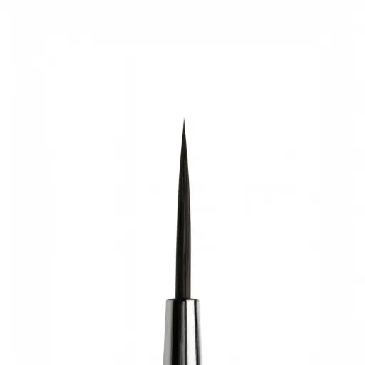 NBT . Pinceau 8 Expert Outline 