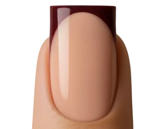 SnapNails Square Nude & Bordeaux